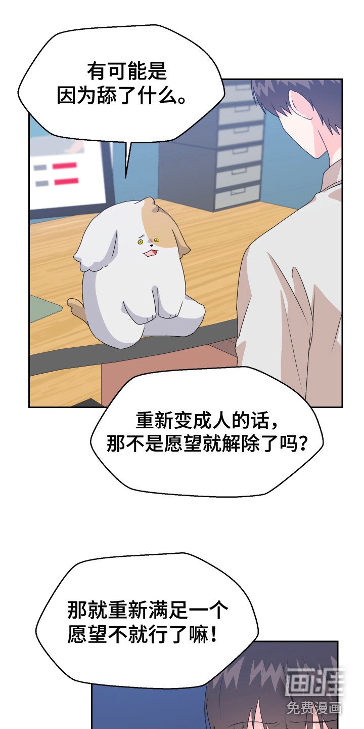 第16章：猜测