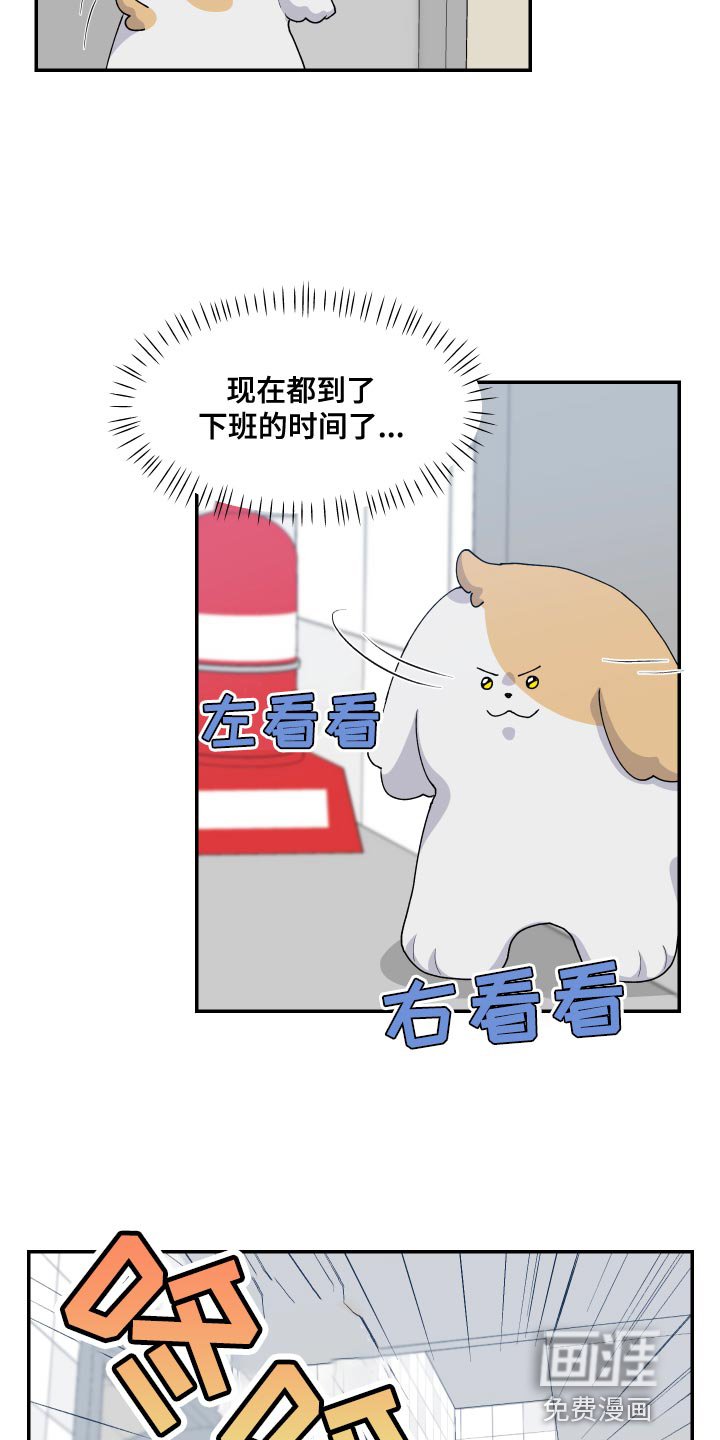 第17章：尾巴