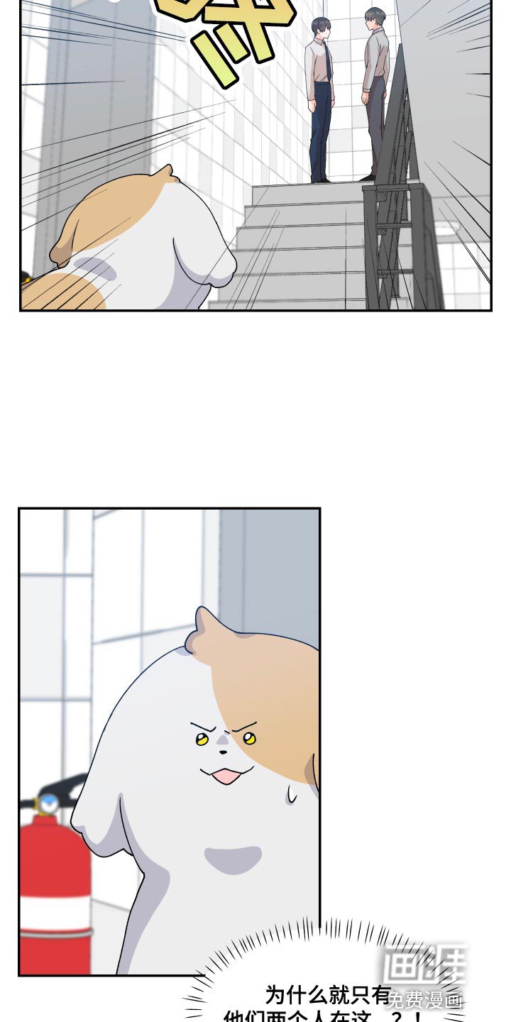 第17章：尾巴