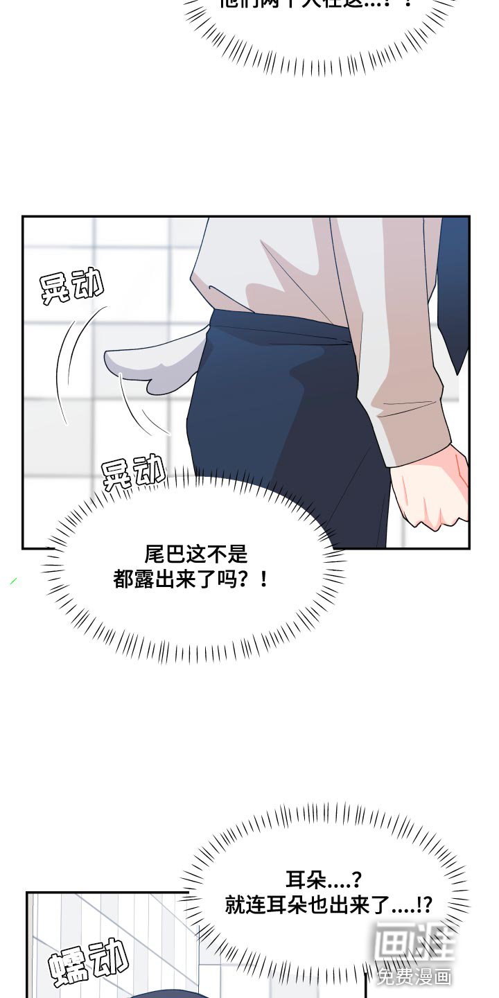 第17章：尾巴