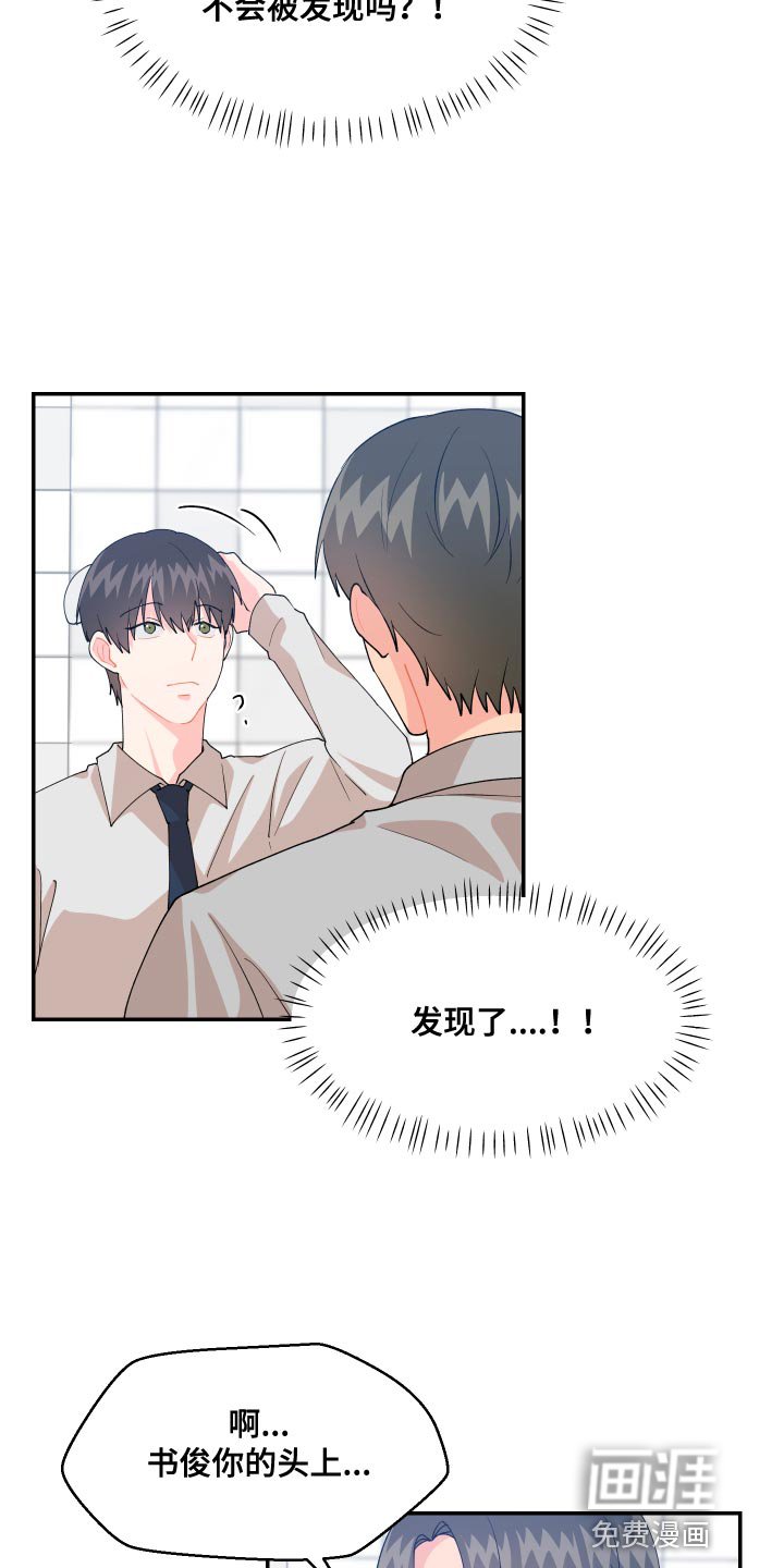 第17章：尾巴