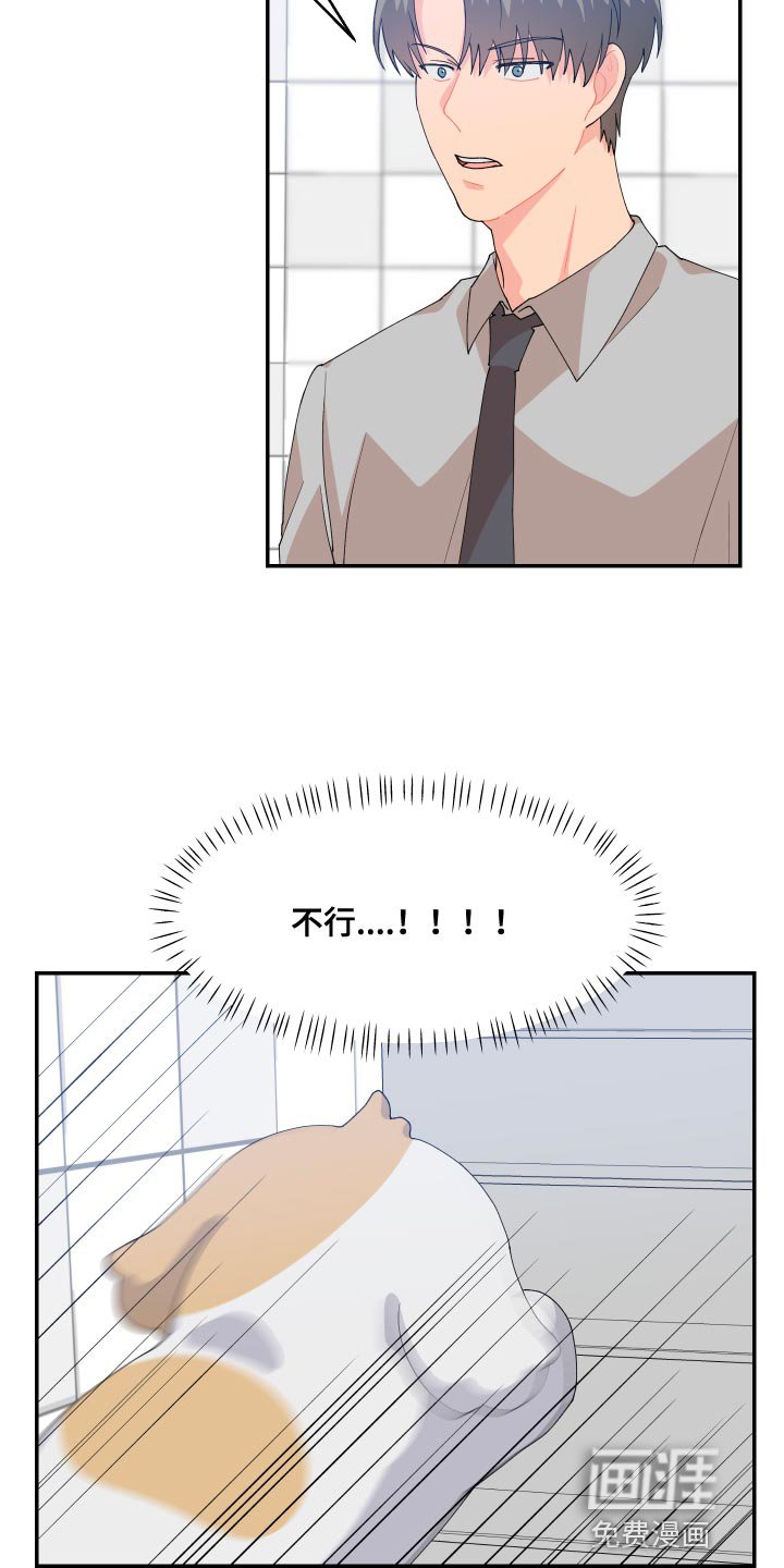 第17章：尾巴