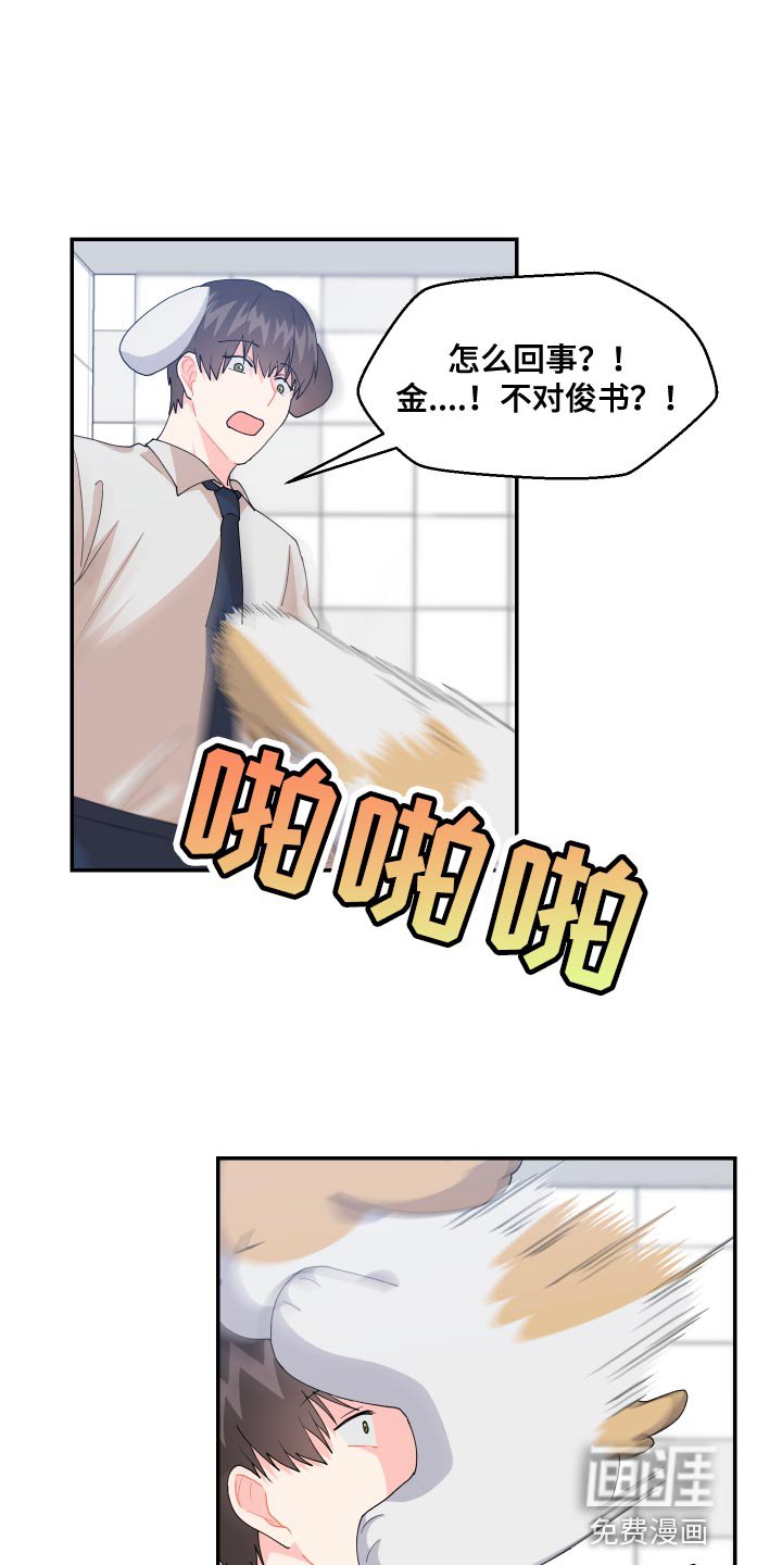 第17章：尾巴