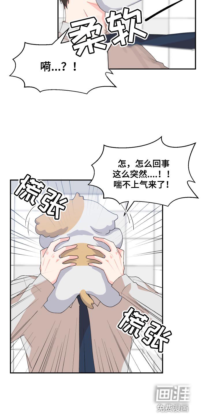第17章：尾巴