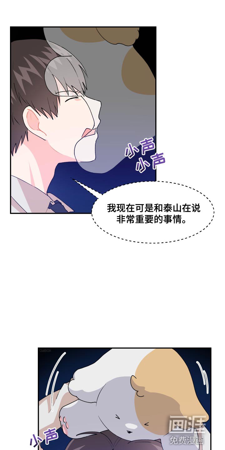 第17章：尾巴