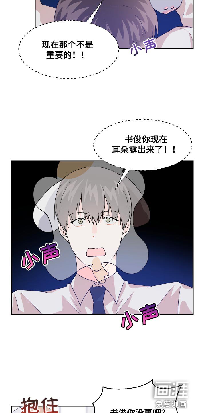 第17章：尾巴