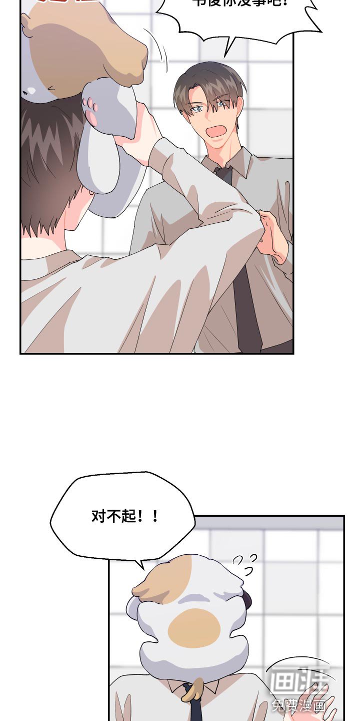 第17章：尾巴