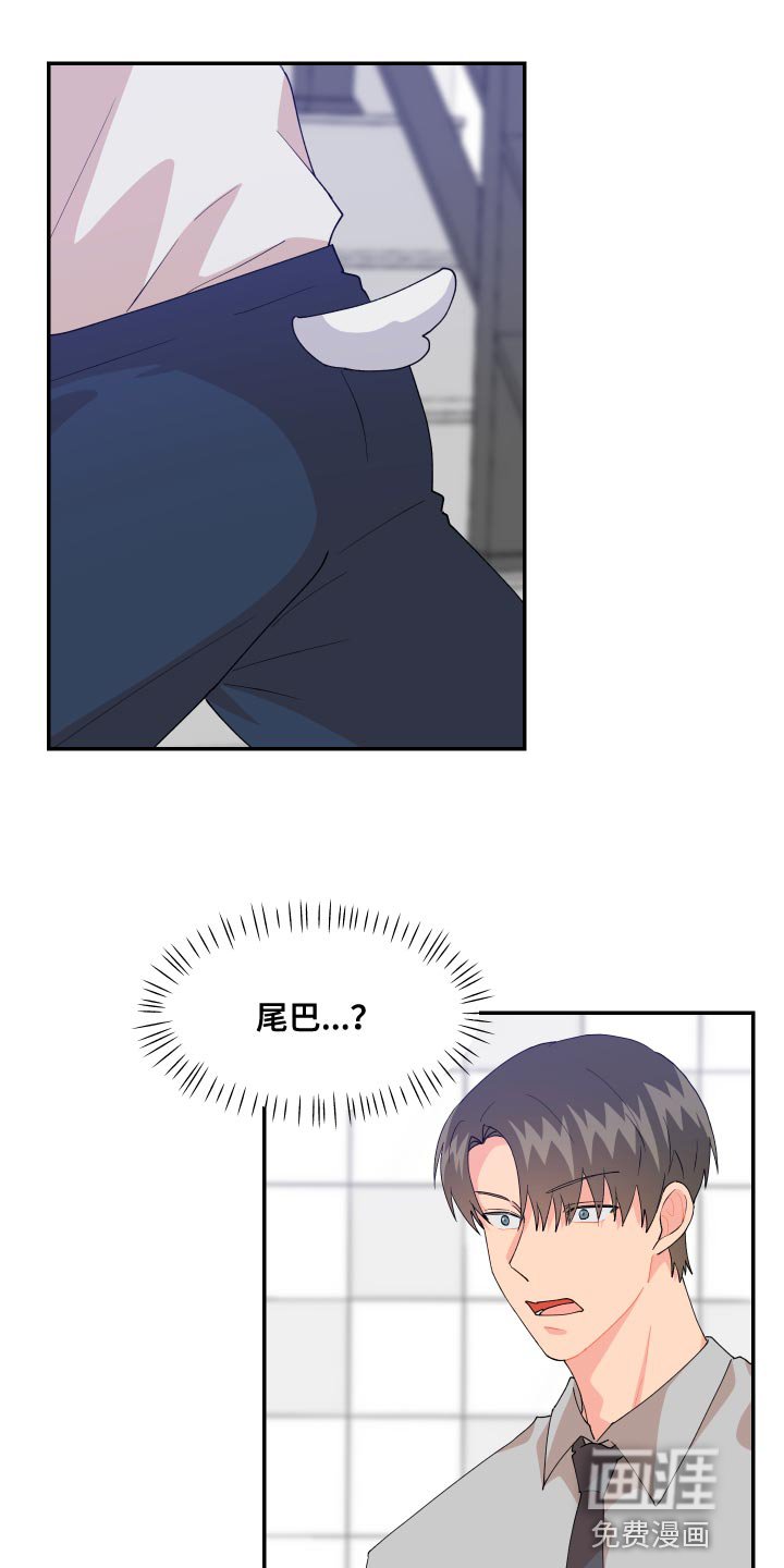 第17章：尾巴