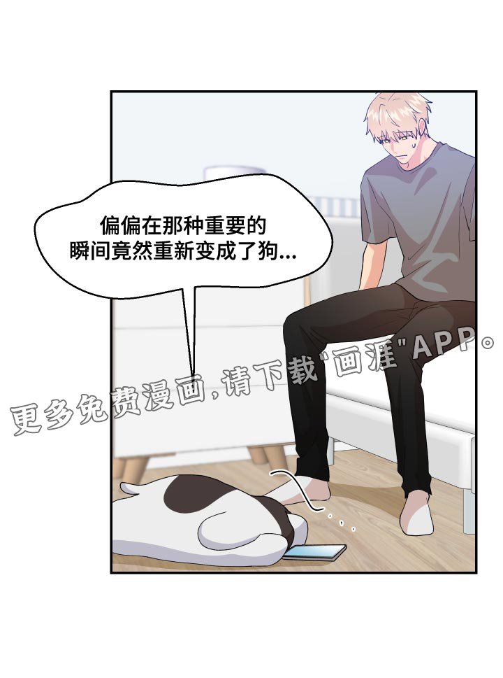第17章：尾巴