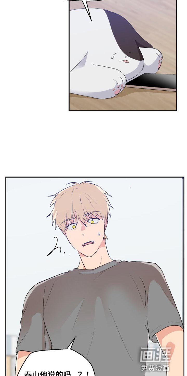 第18章：歉意