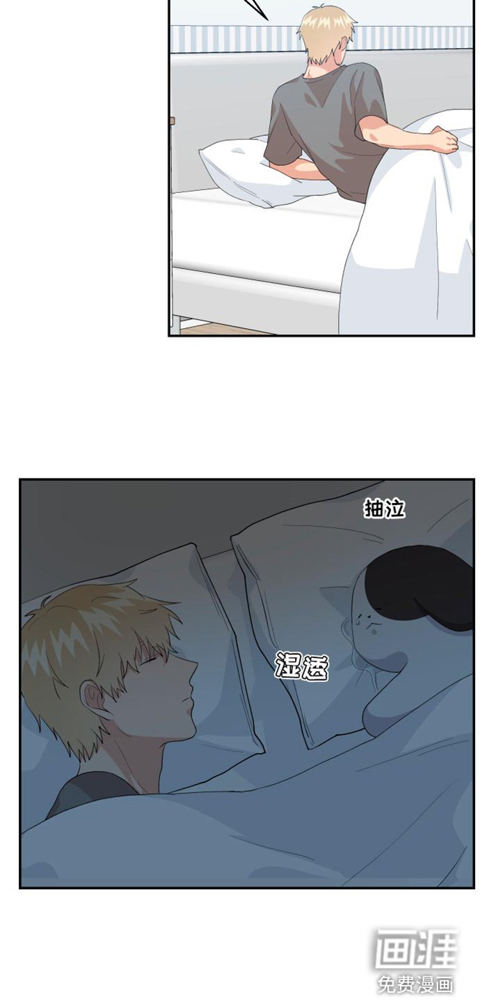 第18章：歉意