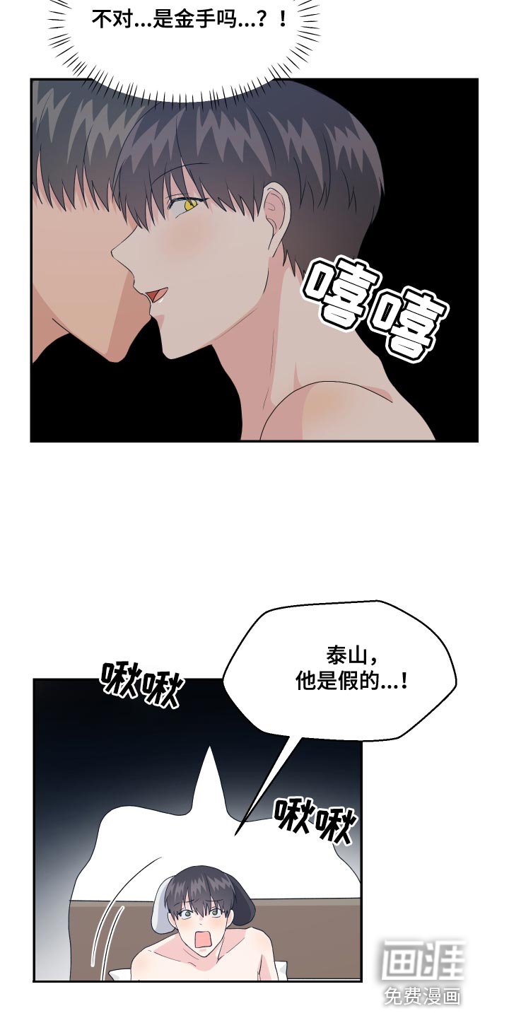 第19章：他是假的