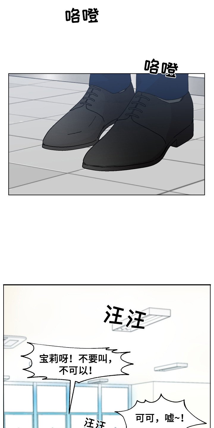 第2章：宠物公司