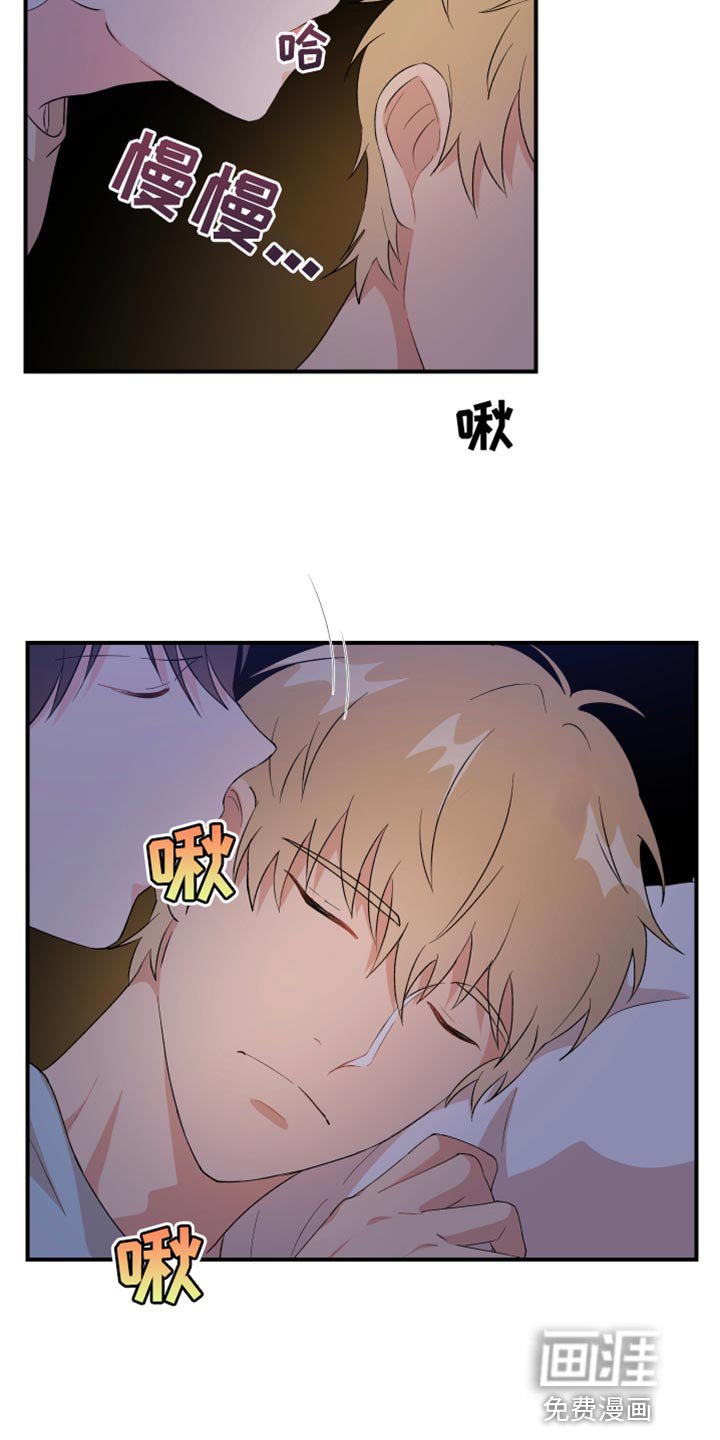 第33章：没能实现的事情