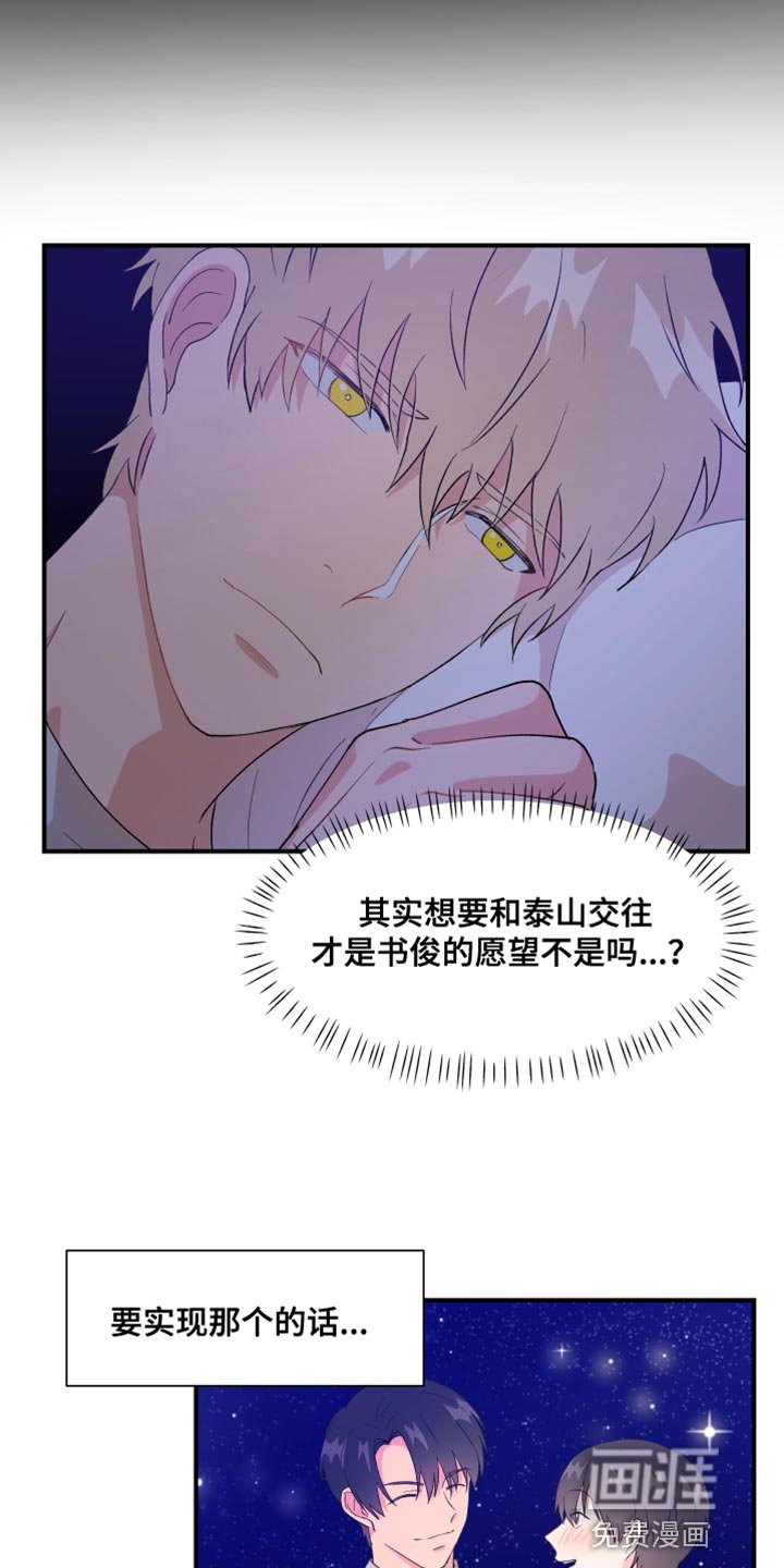 第33章：没能实现的事情