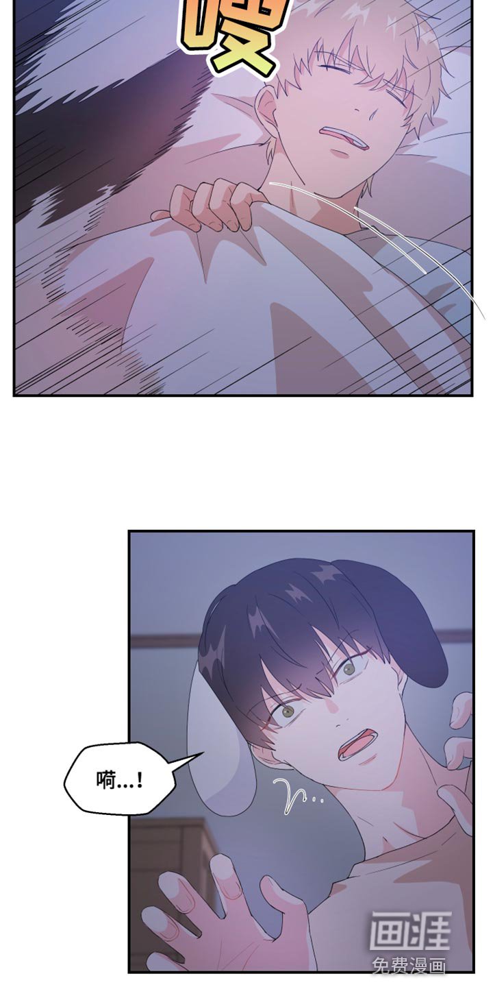 第33章：没能实现的事情