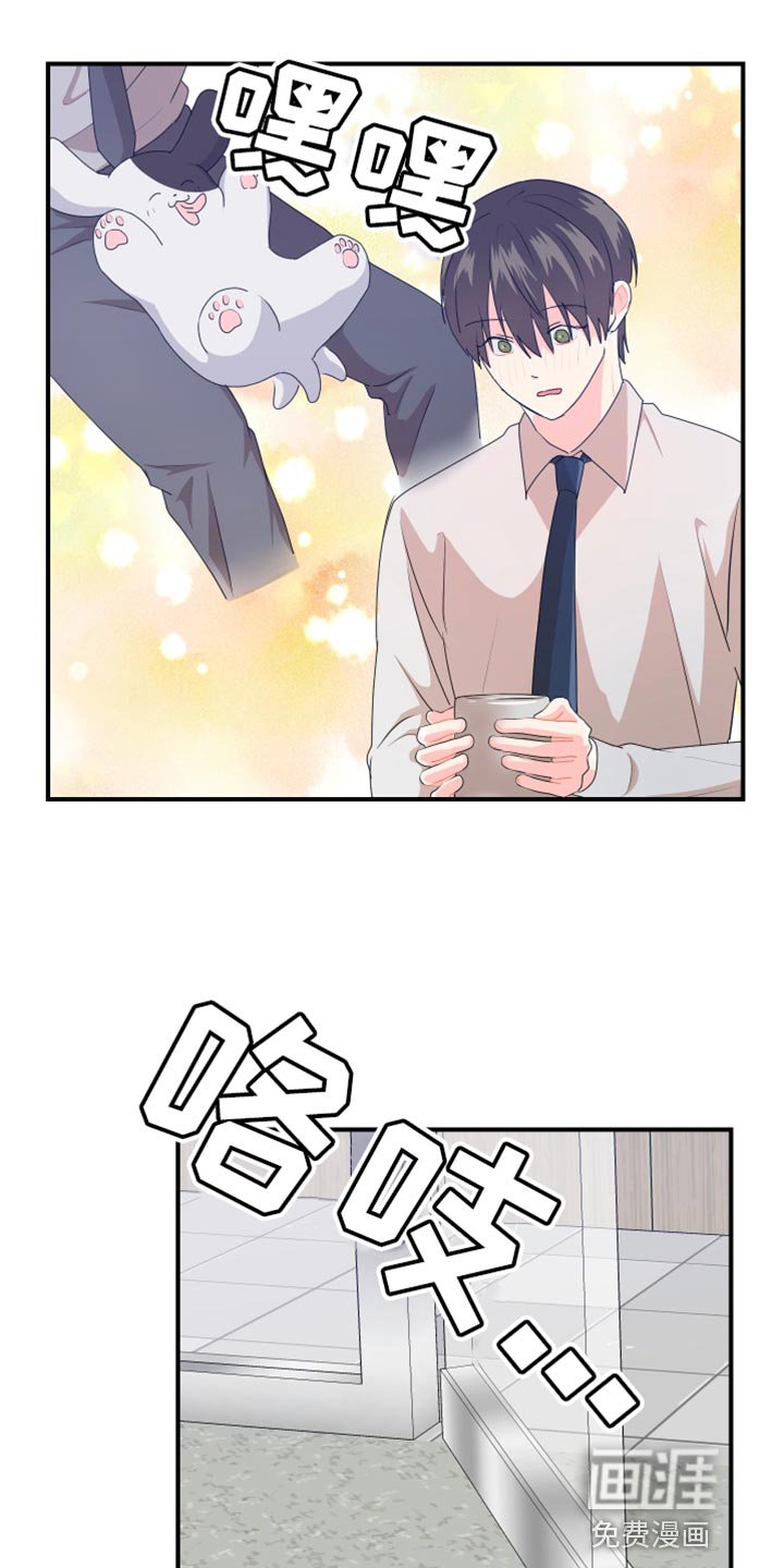 第36章：建议