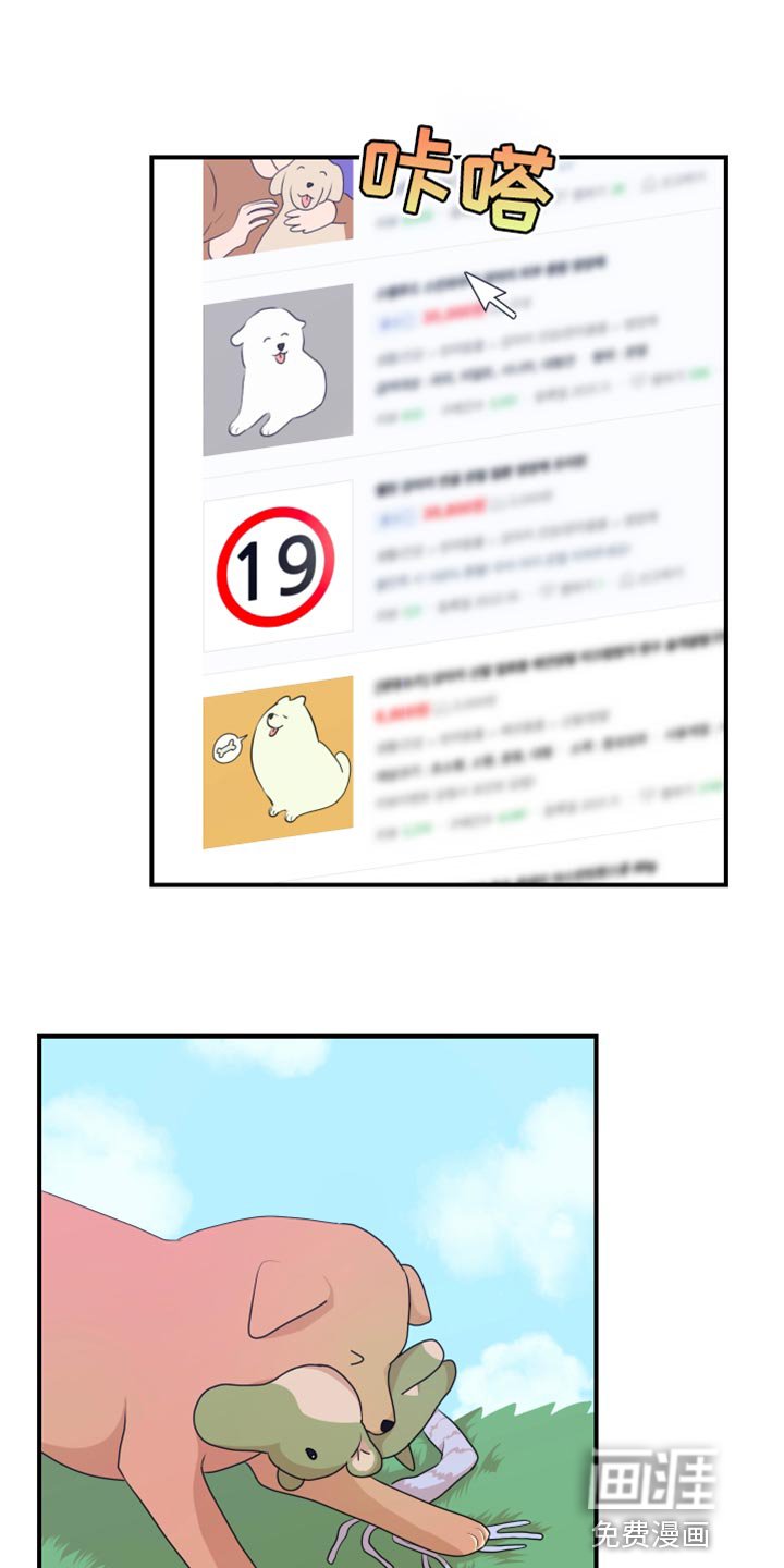 第37章：成人认证