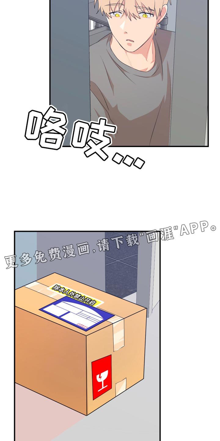 第37章：成人认证