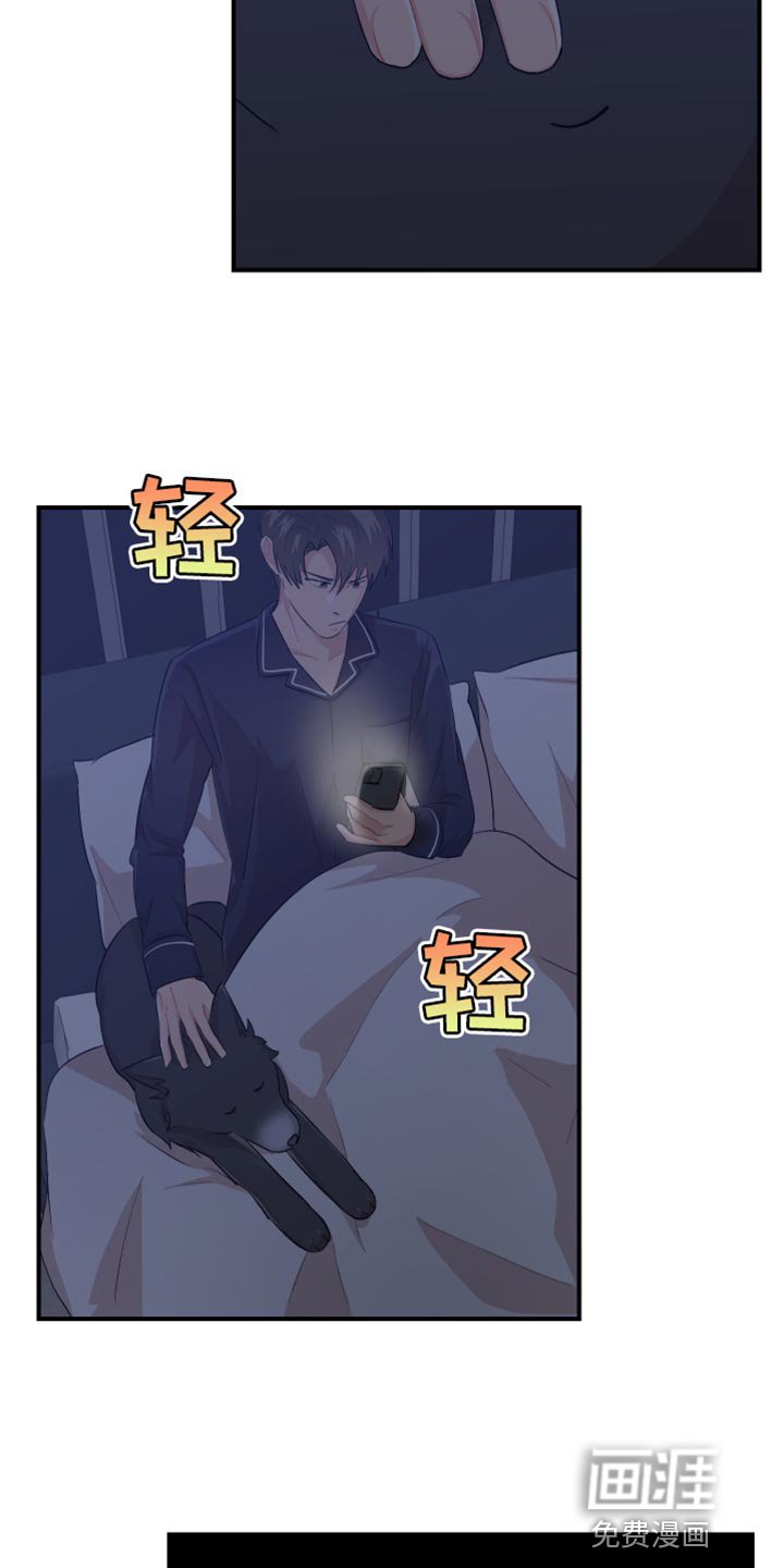 第40章：可爱的小狗