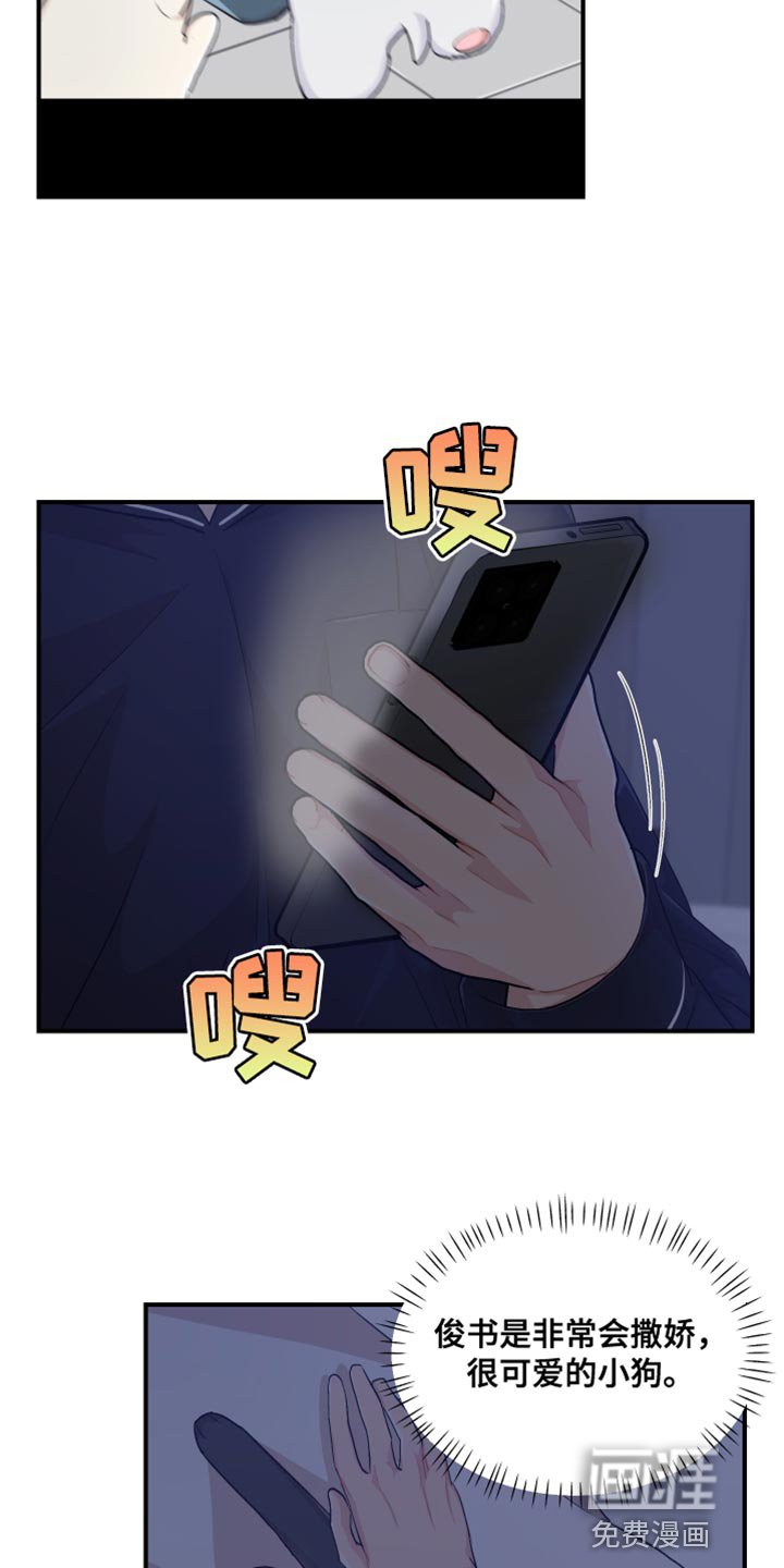 第40章：可爱的小狗