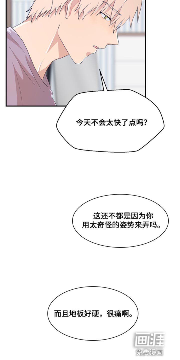 第40章：可爱的小狗