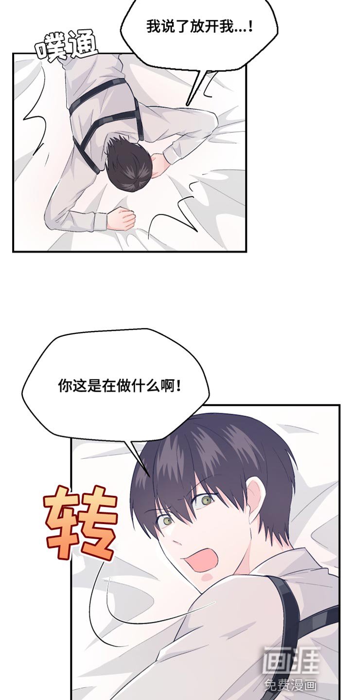 第40章：可爱的小狗