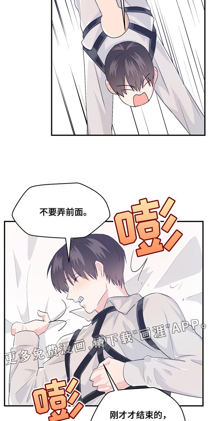 第40章：可爱的小狗