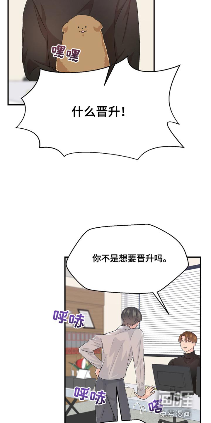 第41章：晋升