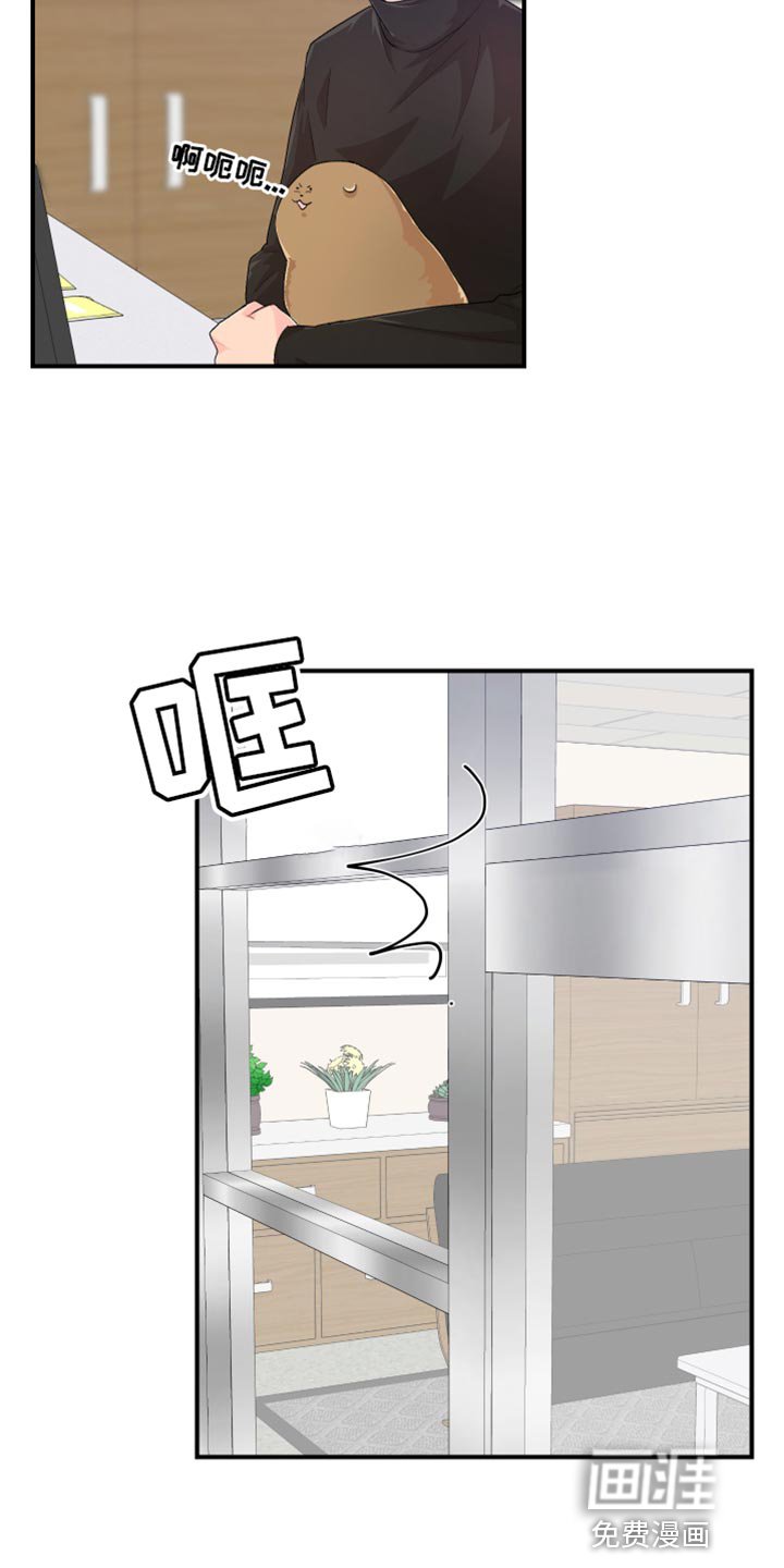 第41章：晋升