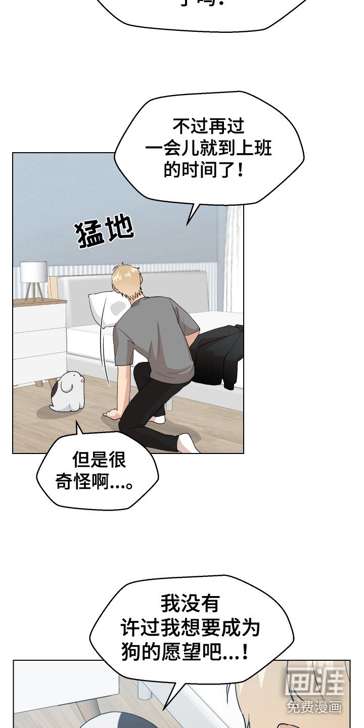 第5章：愿望