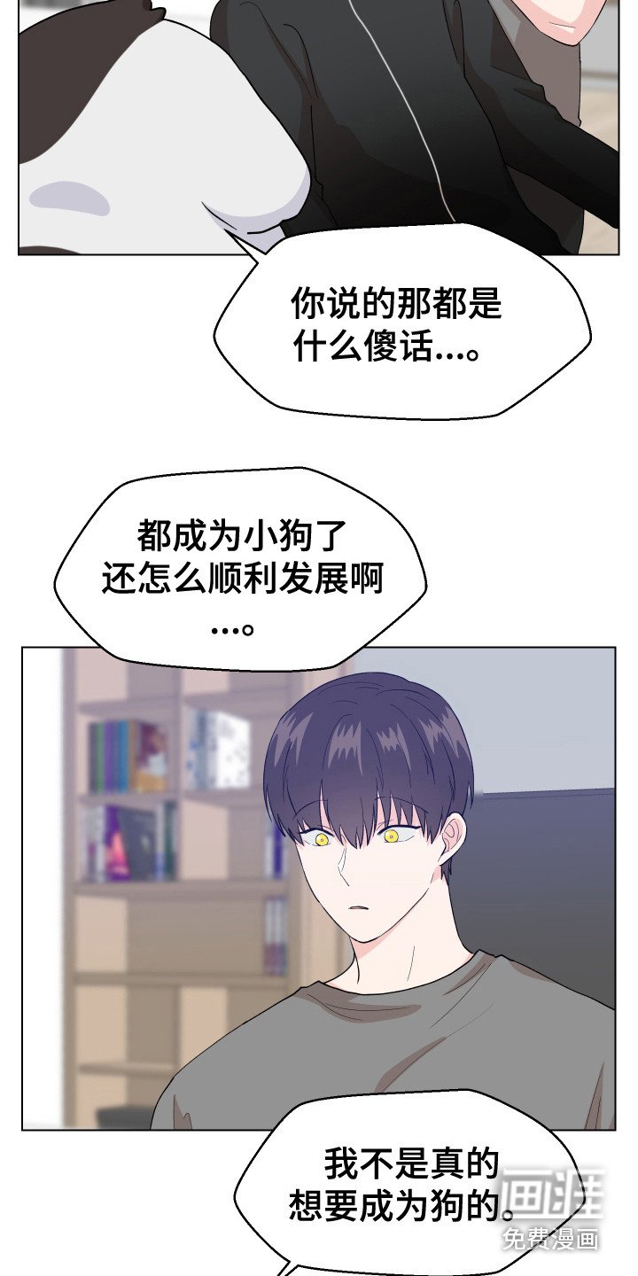 第5章：愿望
