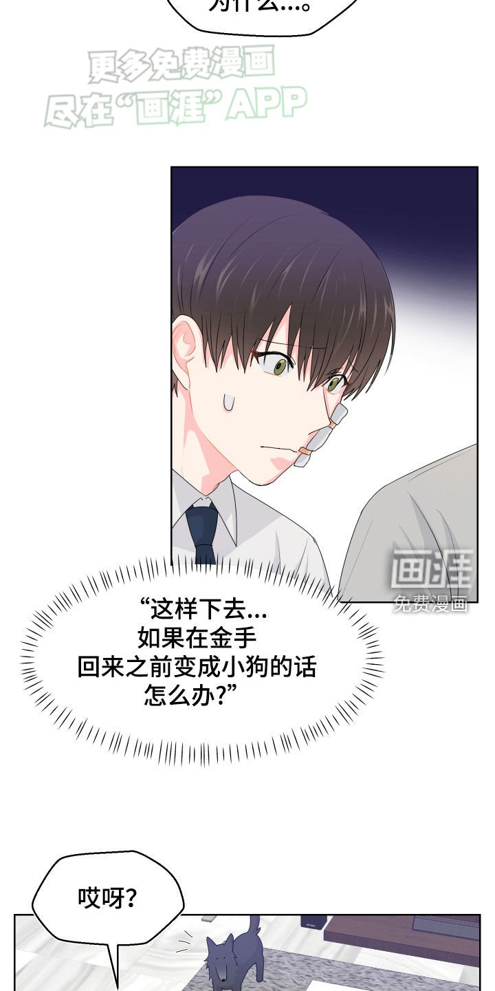 第50章：借住