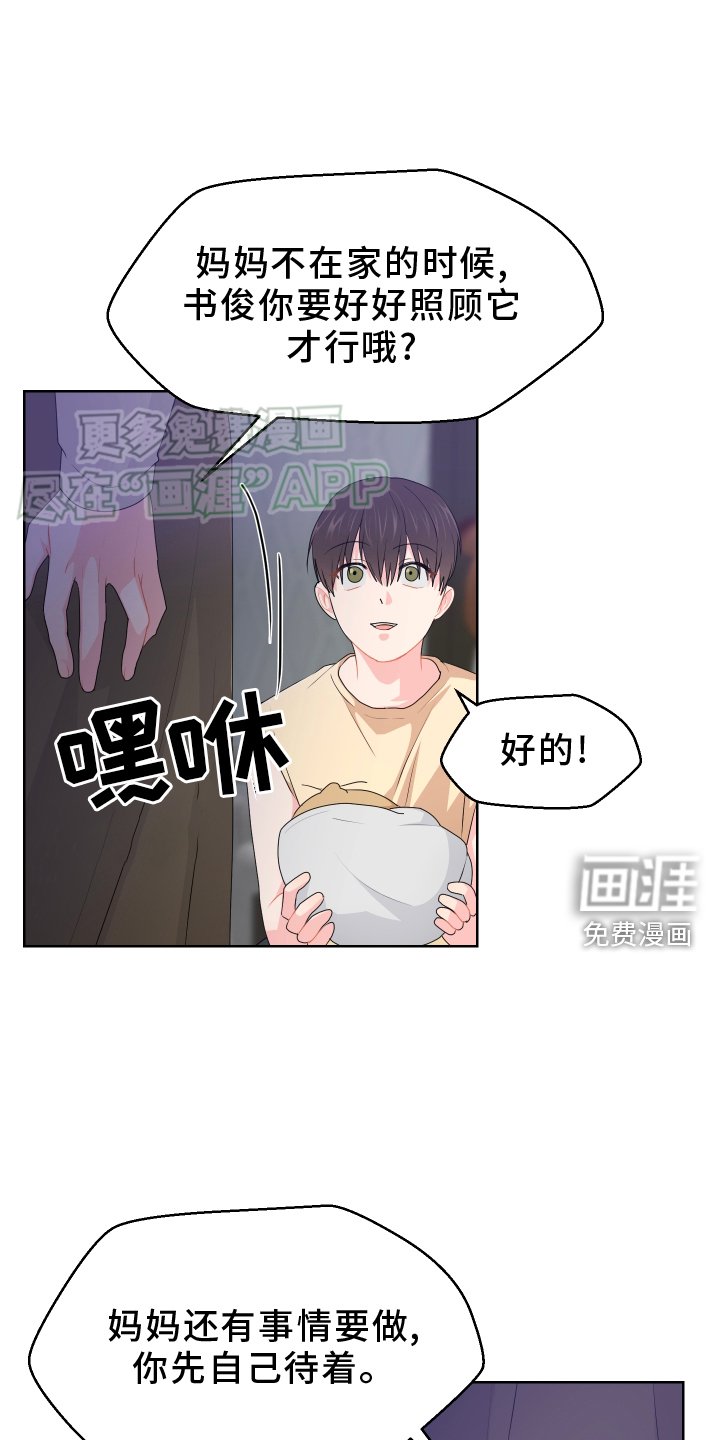 第52章：陪伴