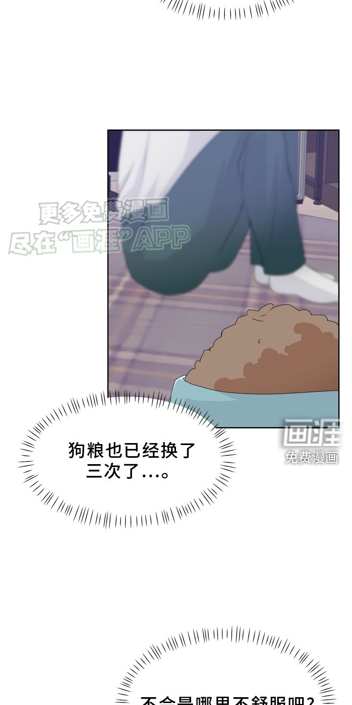 第52章：陪伴