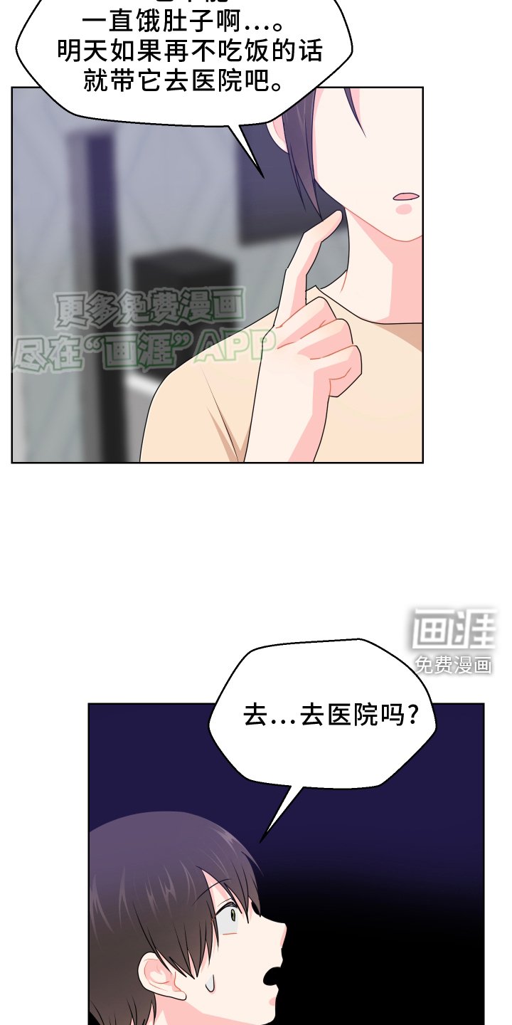 第52章：陪伴