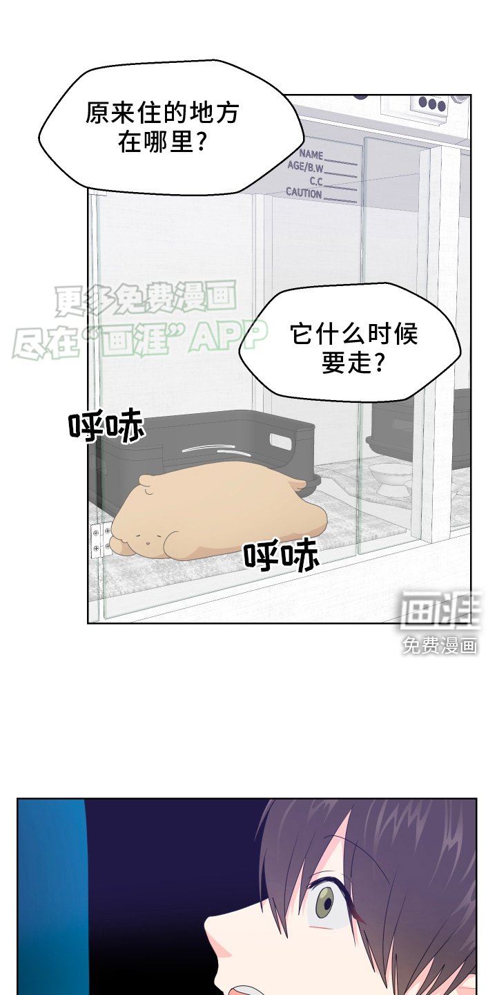第53章：回家