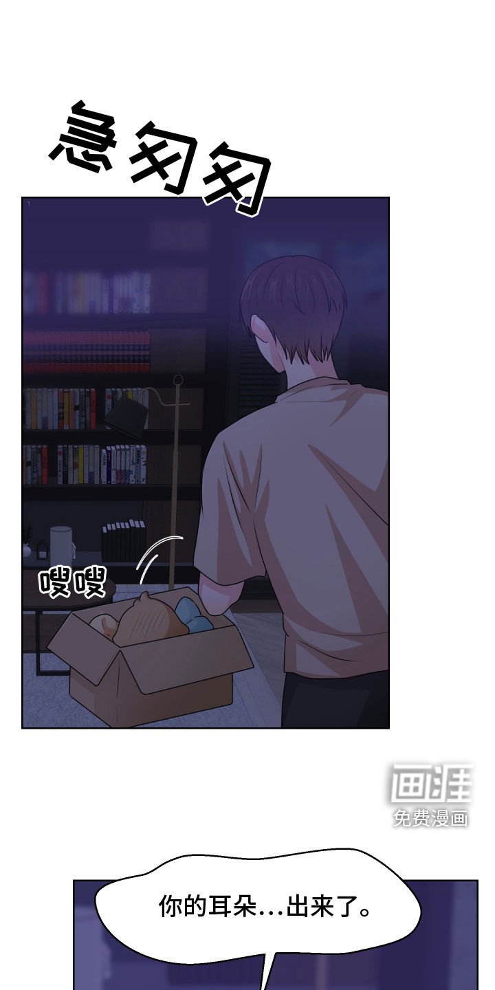 第56章：看房子