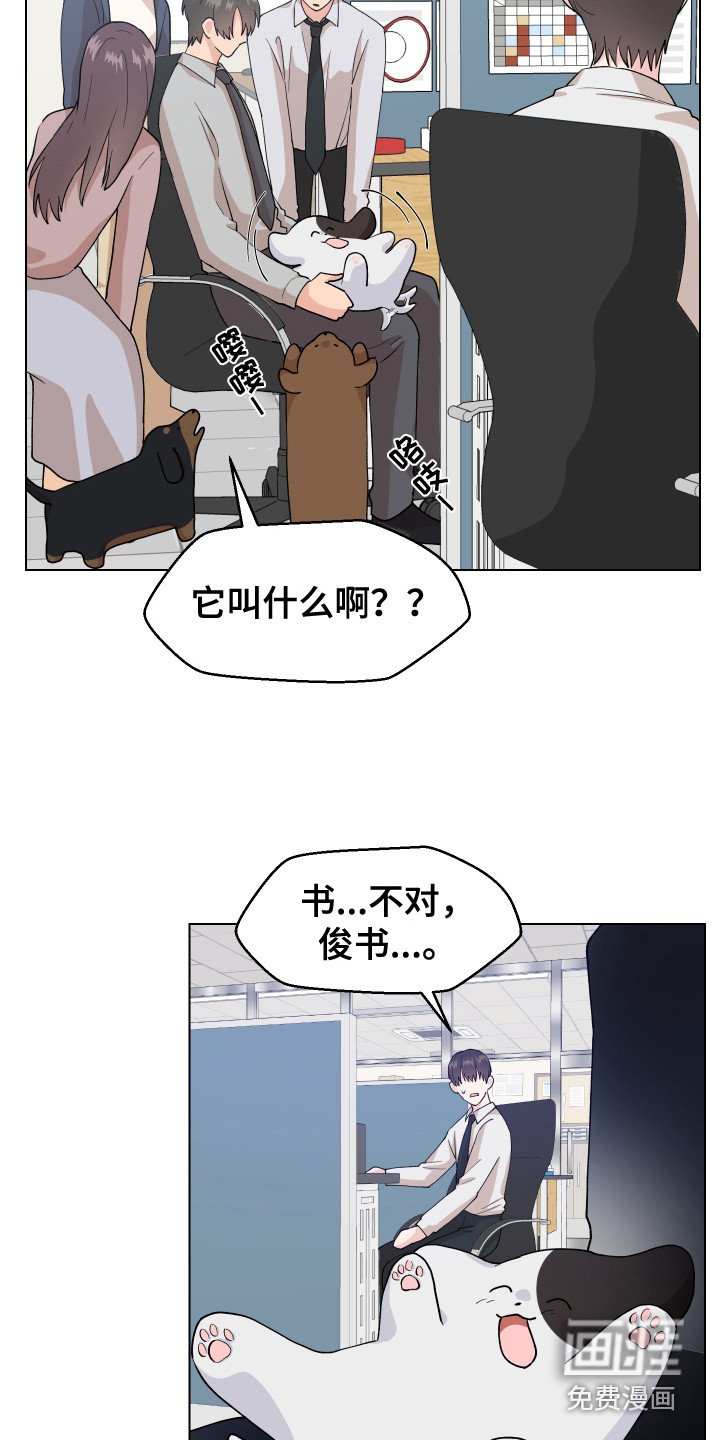 第6章：很可爱