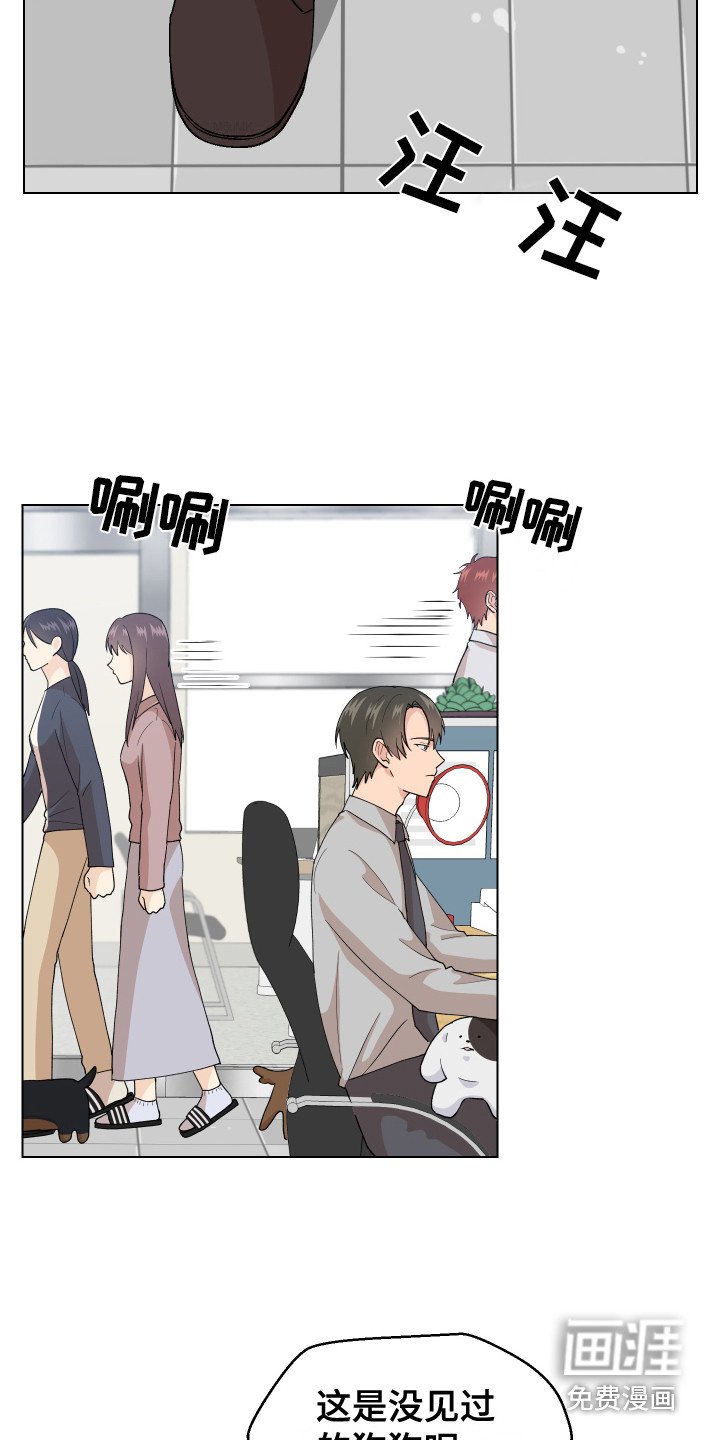 第6章：很可爱