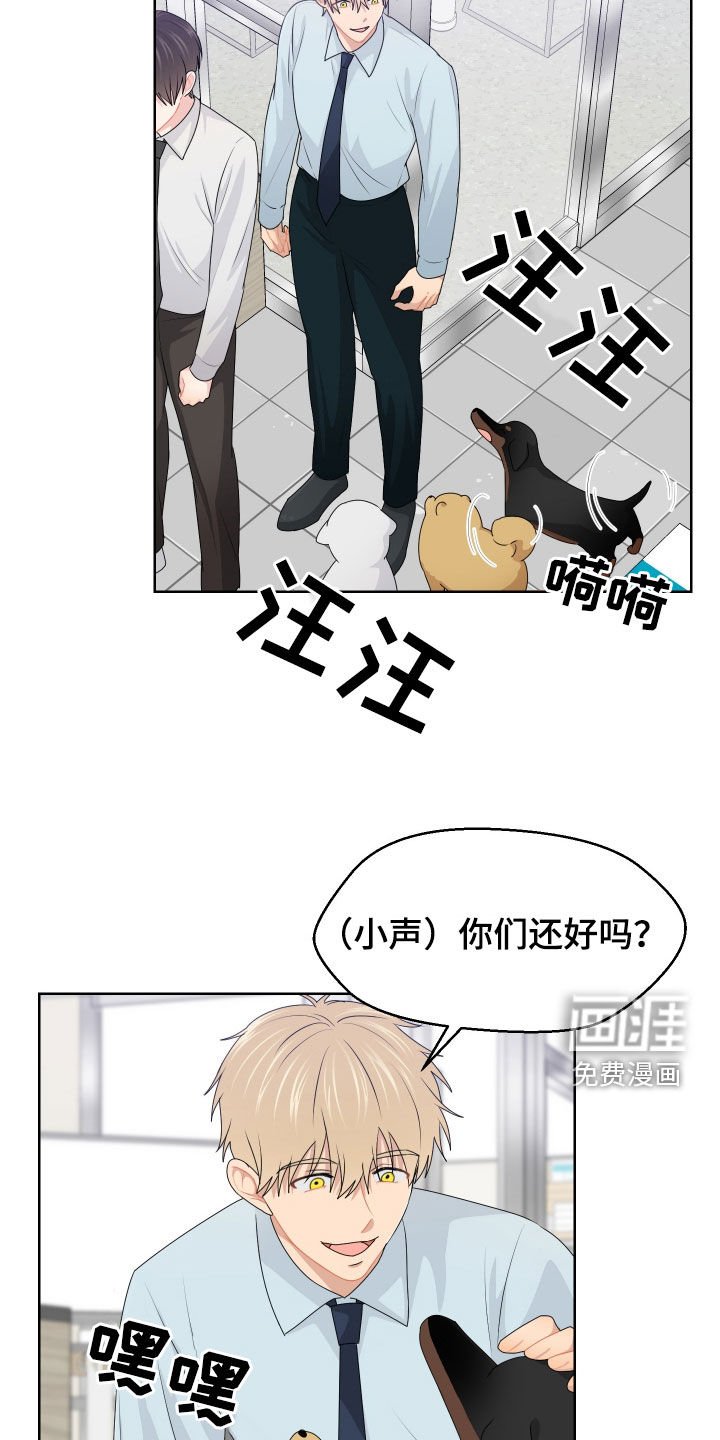 第61章：交接