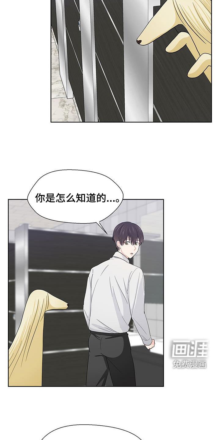 第65章：期待