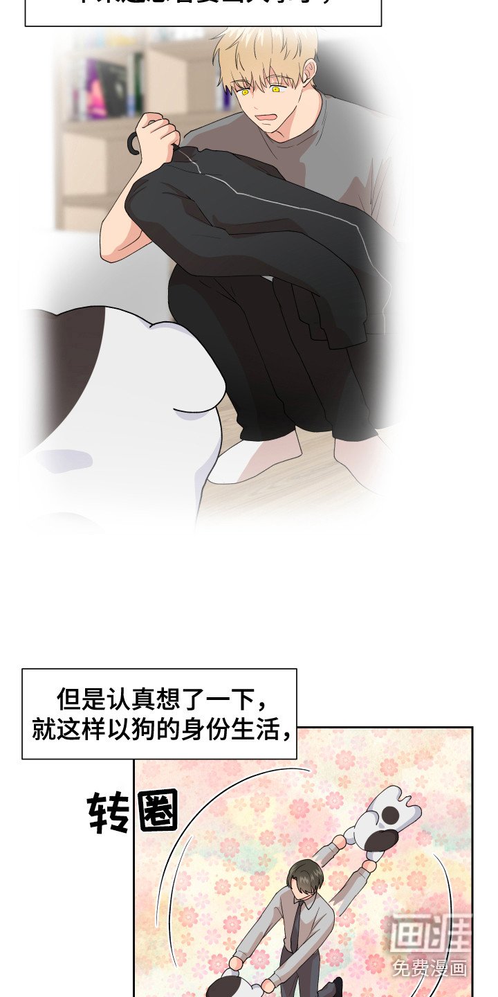 第7章：脸红 