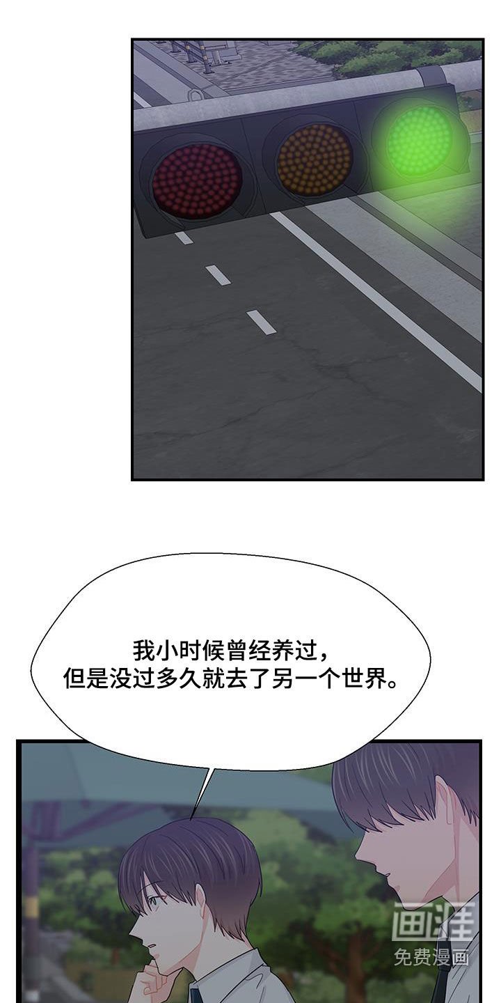 第82章：小狗像