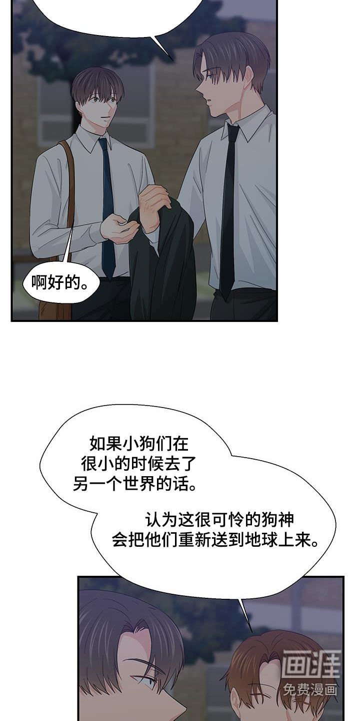 第82章：小狗像