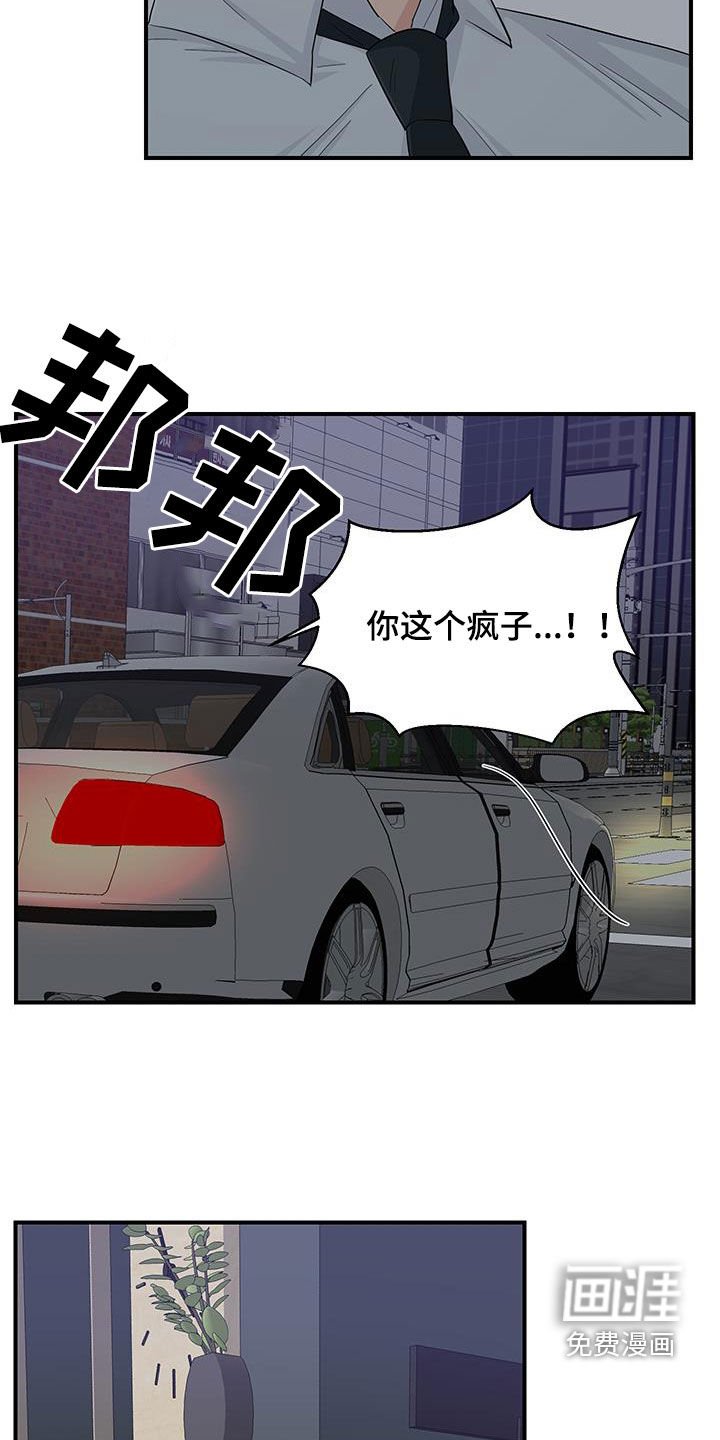 第82章：小狗像