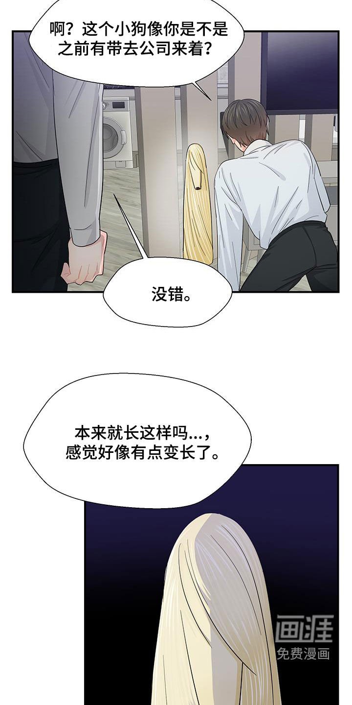 第82章：小狗像