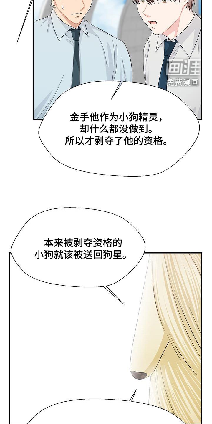 第83章：愿望实现（完结）