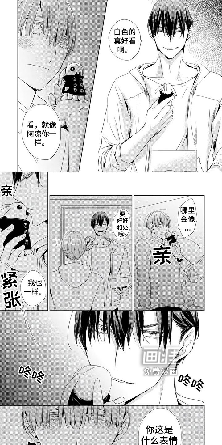 第11章：成为朋友