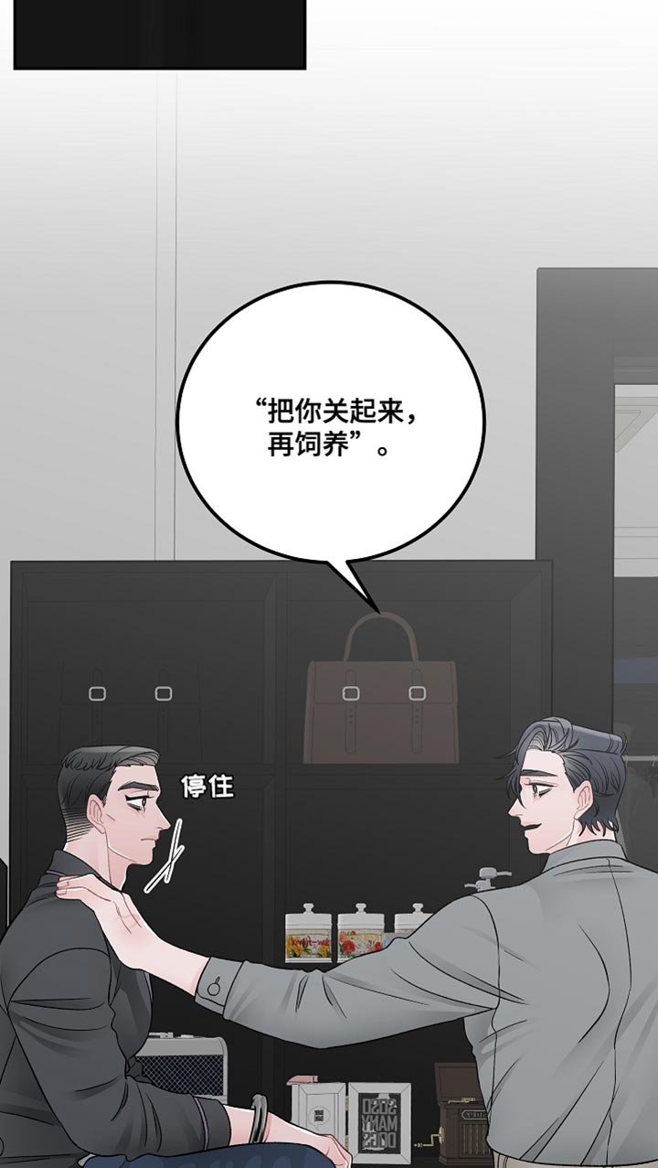 第36章：完美的交易【完结】
